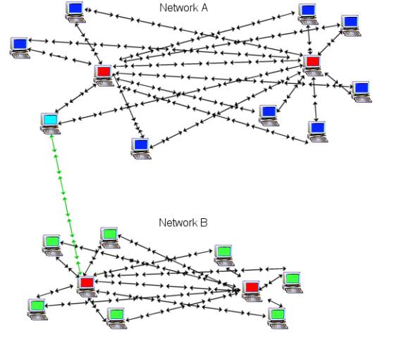 WASTE network topology